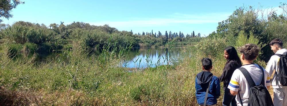 2024-activitat-escolar-can-figuera