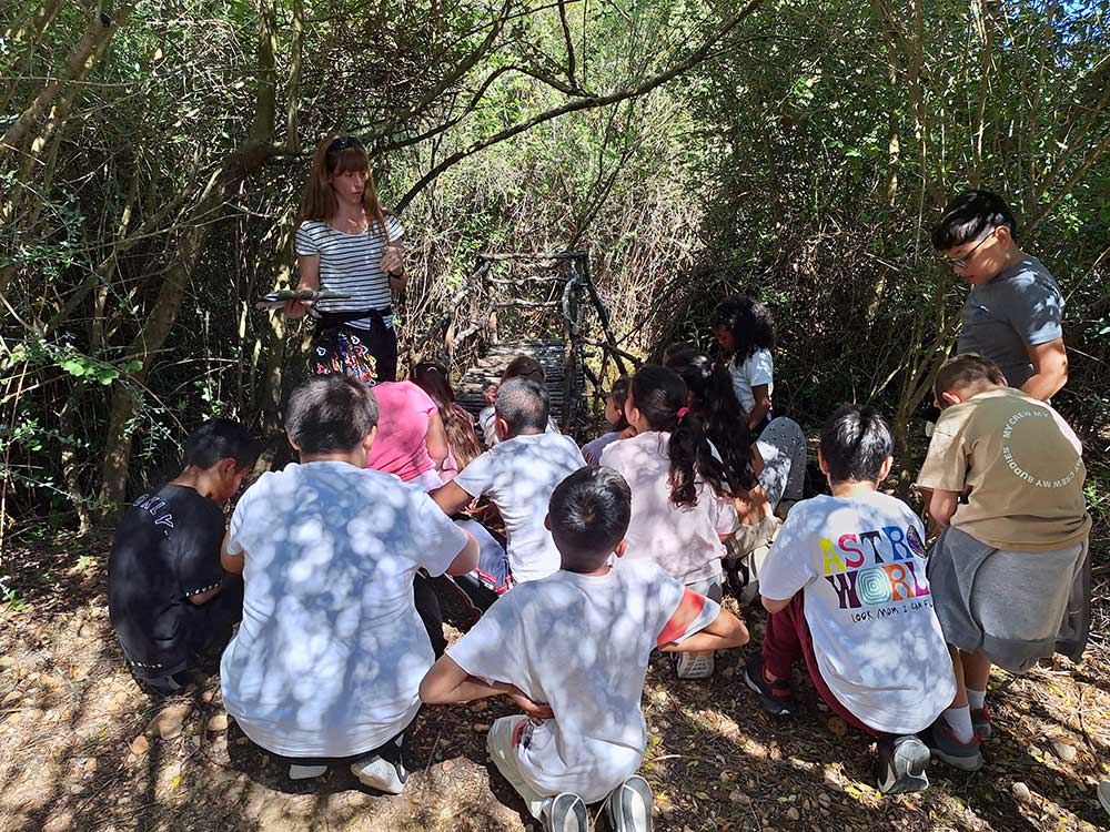 2024-activitat-escolar