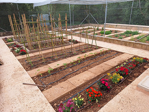 2024-can-figuera-hort